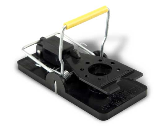 Snap-E® Mousetrap Product