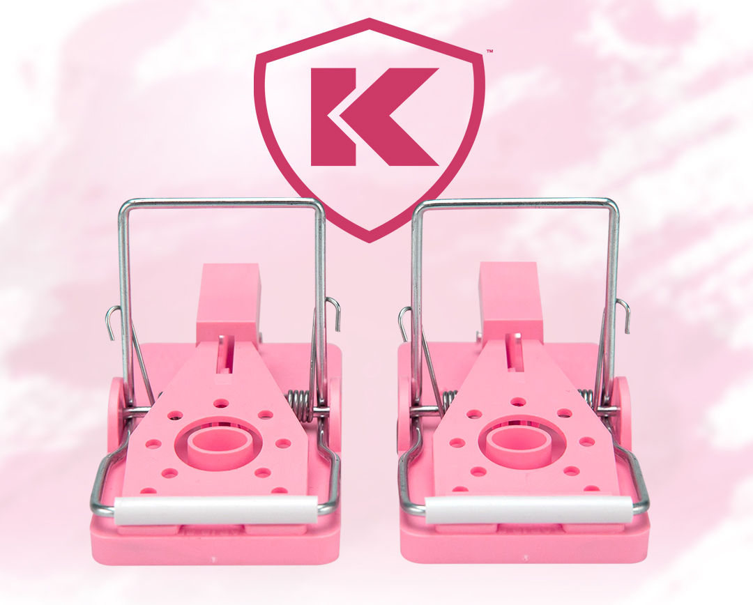 http://www.kness.com/news-upcoming-events/2021/9/Pink-Snap-E-Traps.jpg