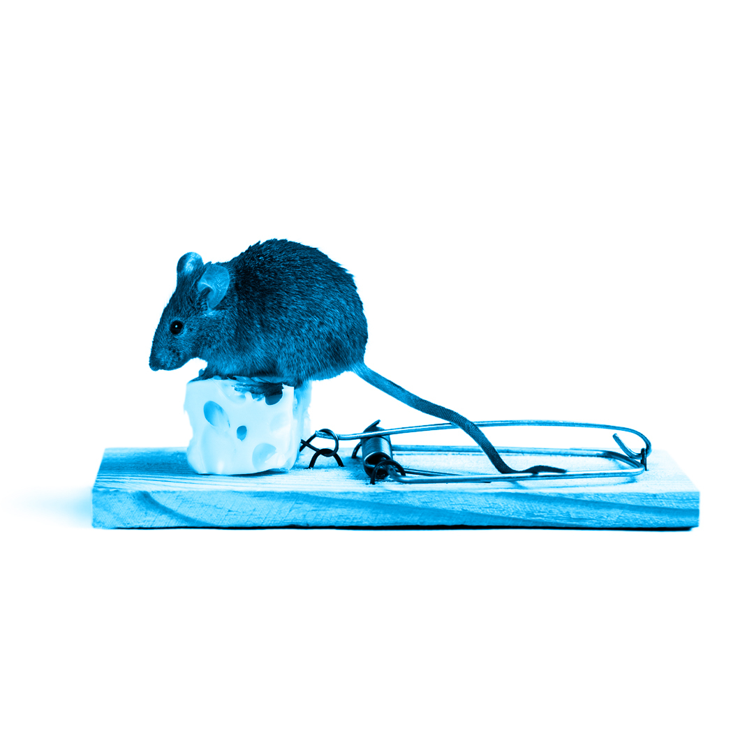 High quality metal mouse trap rat trap manufacturer supplier