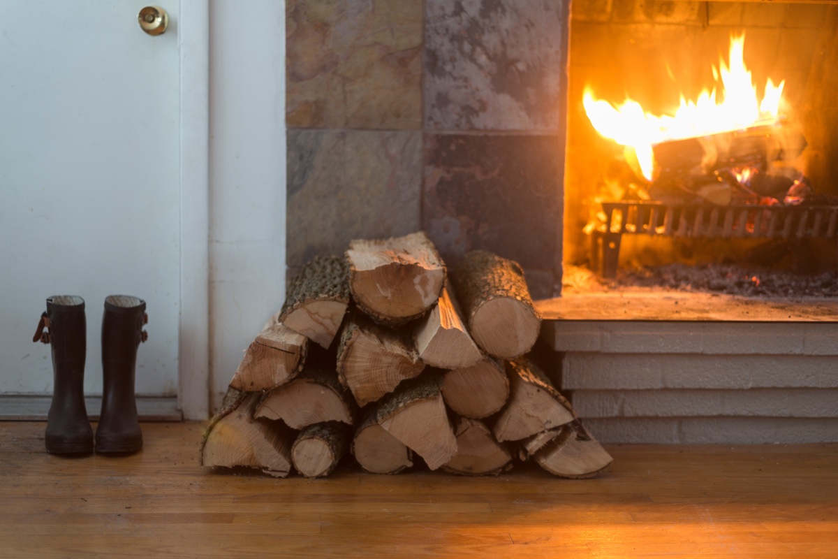 Pests in Your Firewood? Here's How to Stop Them