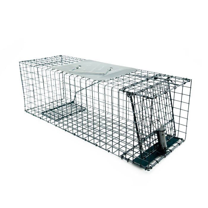 Kness Kage-All Squirrel Live Animal Trap, 1 - Fry's Food Stores